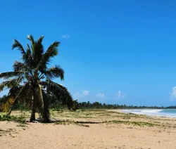 A beach in punta cana