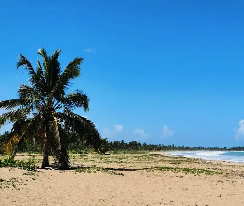 Hot beach in Punta Cana