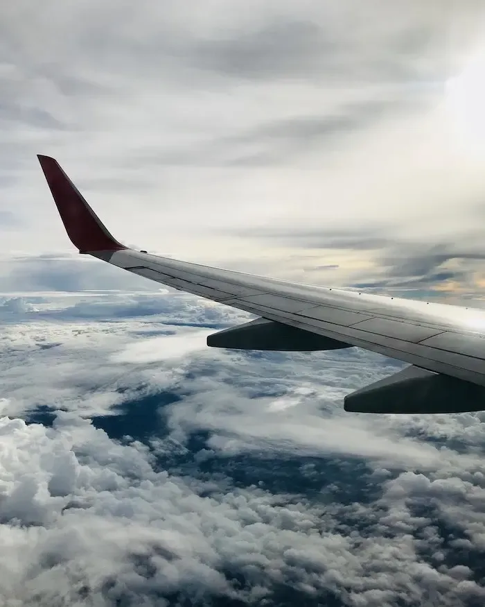 View from a plane